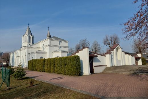ogłoszenia
