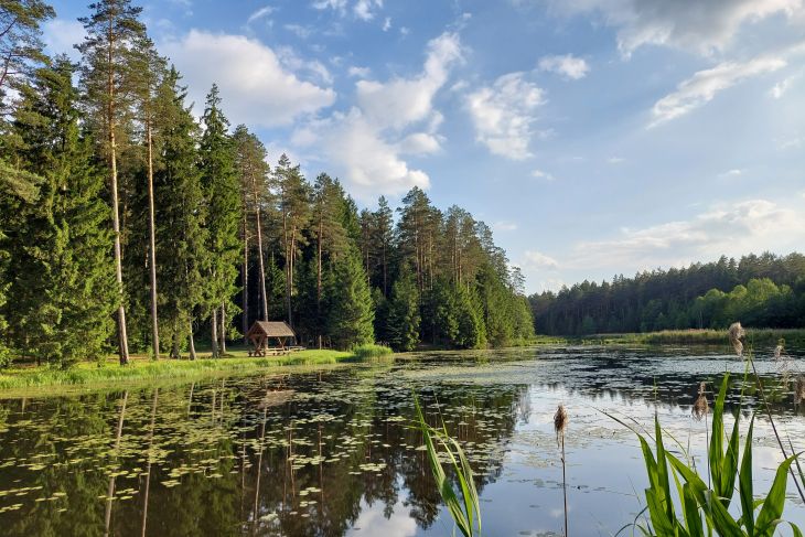 Ogłoszenia duszpasterskie 12 niedziela zwykła 23.06.2024