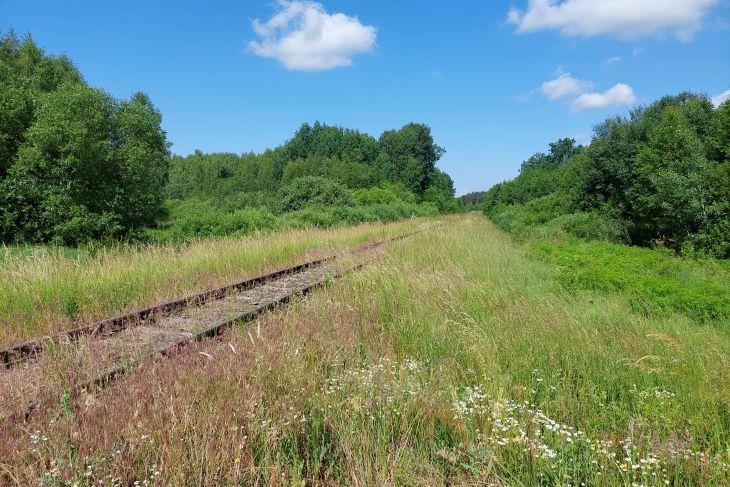 Ogłoszenia duszpasterskie 13 niedziela zwykła 30.06.2024