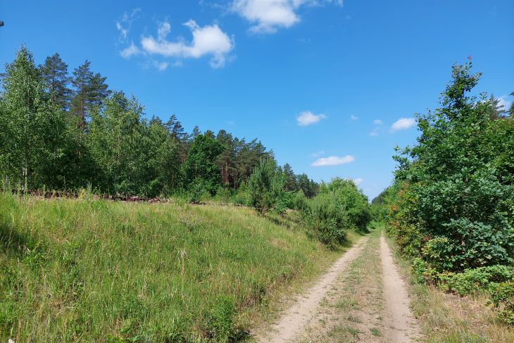 Ogłoszenia duszpasterskie 14 niedziela zwykła 7.07.2024