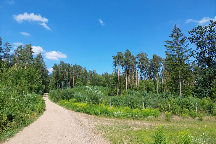 Ogłoszenia duszpasterskie 18 niedziela zwykła 4.08.2024