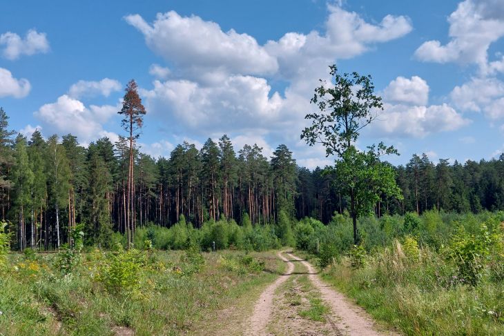 Ogłoszenia duszpasterskie 20 niedziela zwykła 18.08.2024